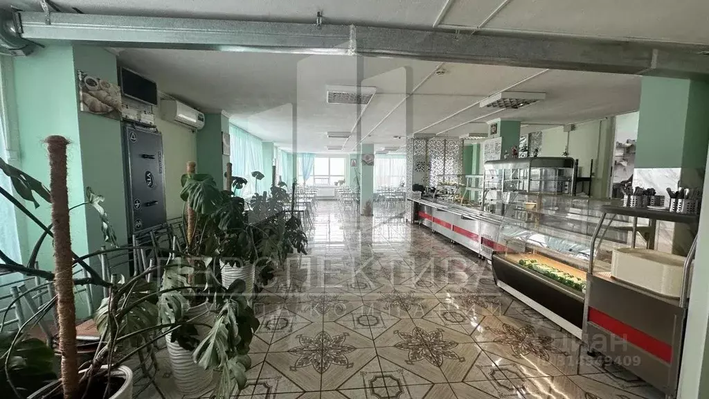 Помещение свободного назначения в Краснодарский край, Новороссийск ... - Фото 0