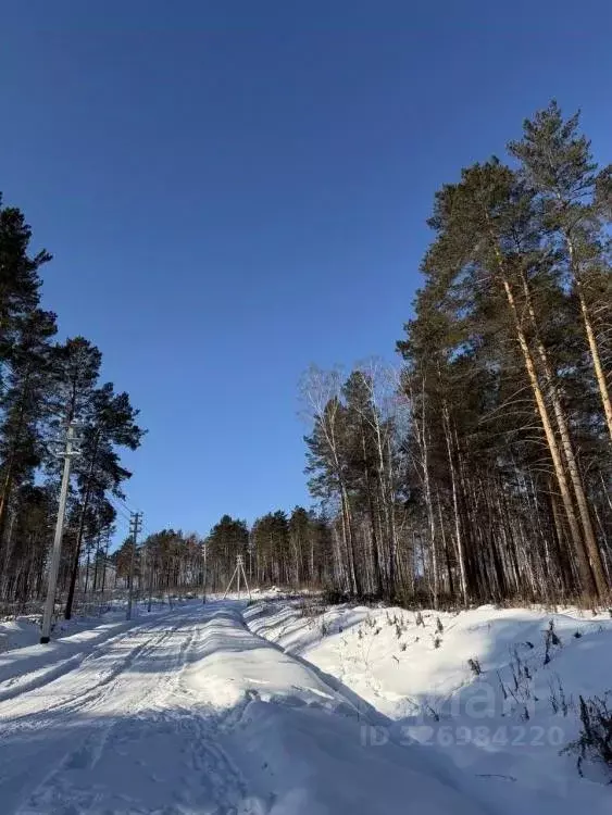 Участок в Иркутская область, Иркутский муниципальный округ, Светофор ... - Фото 2