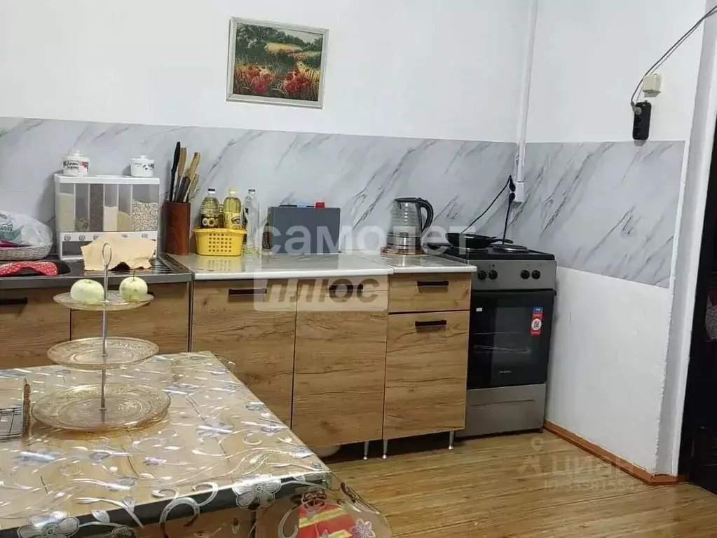 Дом в Амурская область, Михайловский муниципальный округ, с. ... - Фото 2
