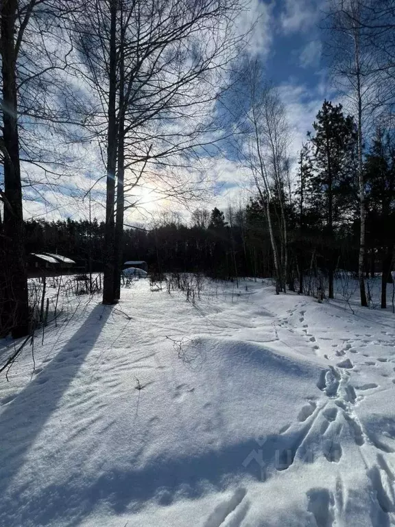 Участок в Брянская область, Брянск пос. Антоновка,  (23.0 сот.) - Фото 1