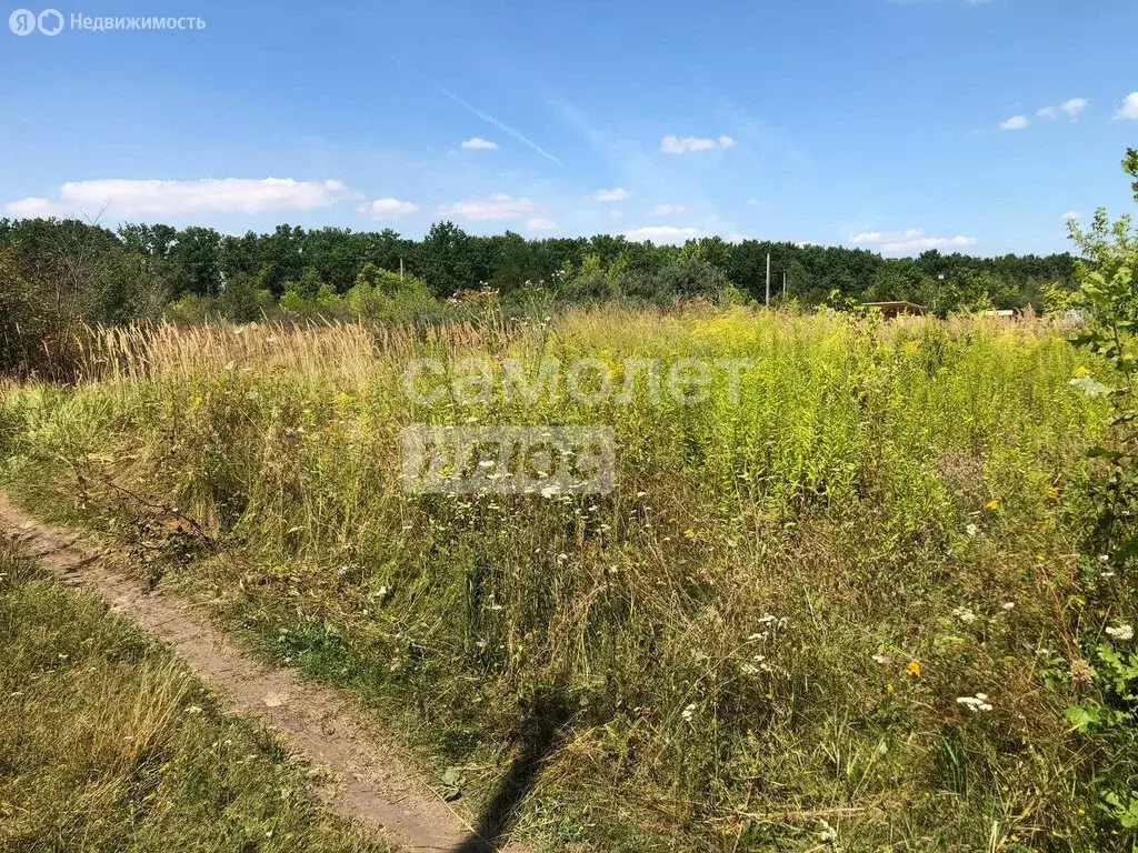 Участок в Липецк, СНТ Металлург-6 (6 м) - Фото 2