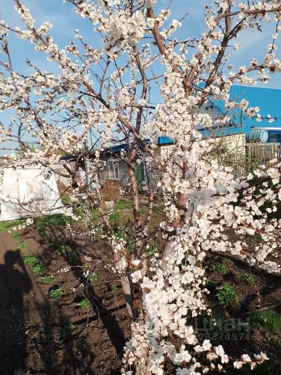 Дом в Ульяновская область, Мелекесский район, Рязановское с/пос, с. ... - Фото 2