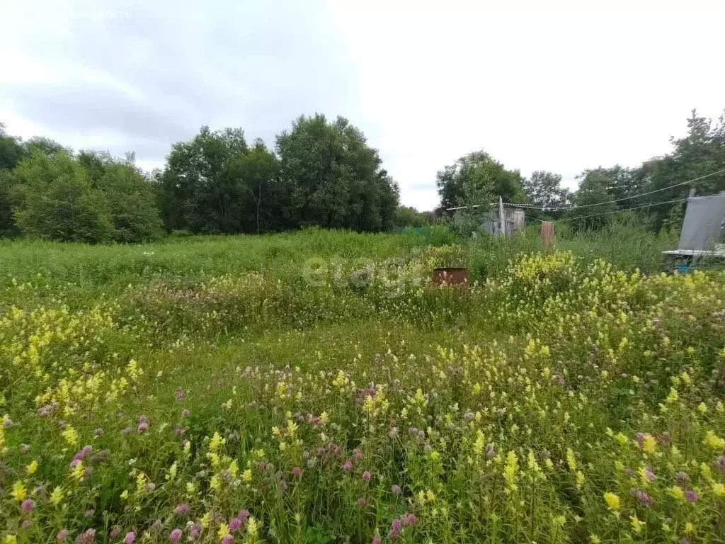 Участок в Елизовский район, село Северные Коряки (15 м) - Фото 1