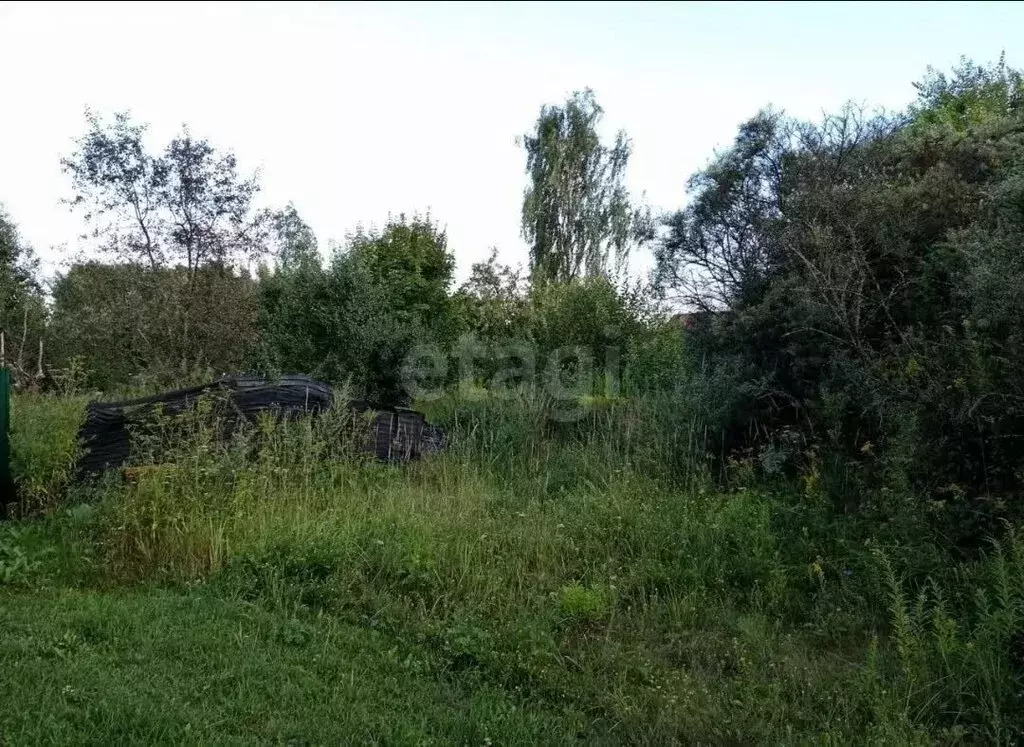 Участок в Ярославль, СНТ Берёзовая Роща-1 (6.16 м) - Фото 2