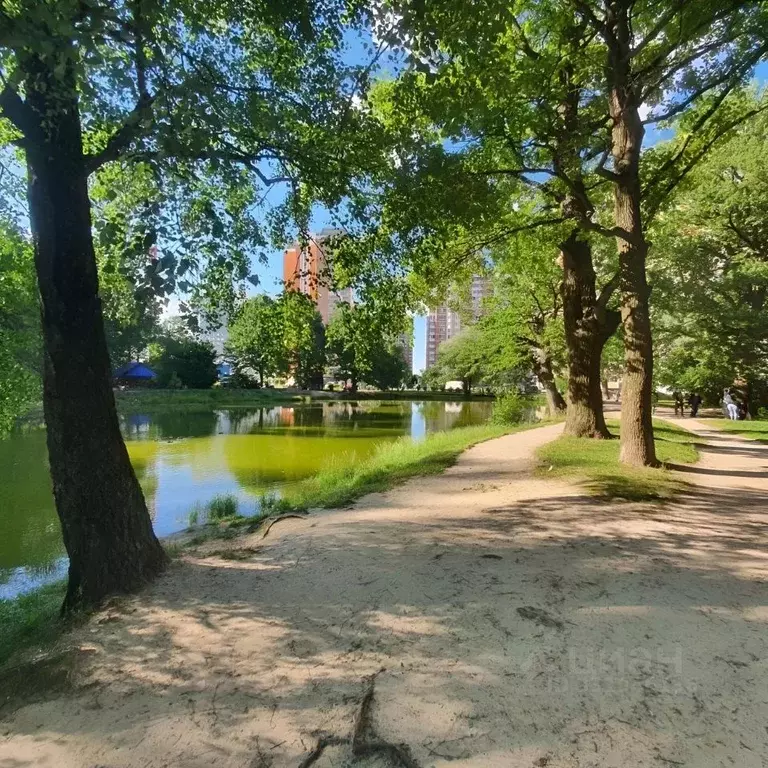 1-к кв. Московская область, Балашиха 1 Мая мкр, 34 (37.6 м) - Фото 2