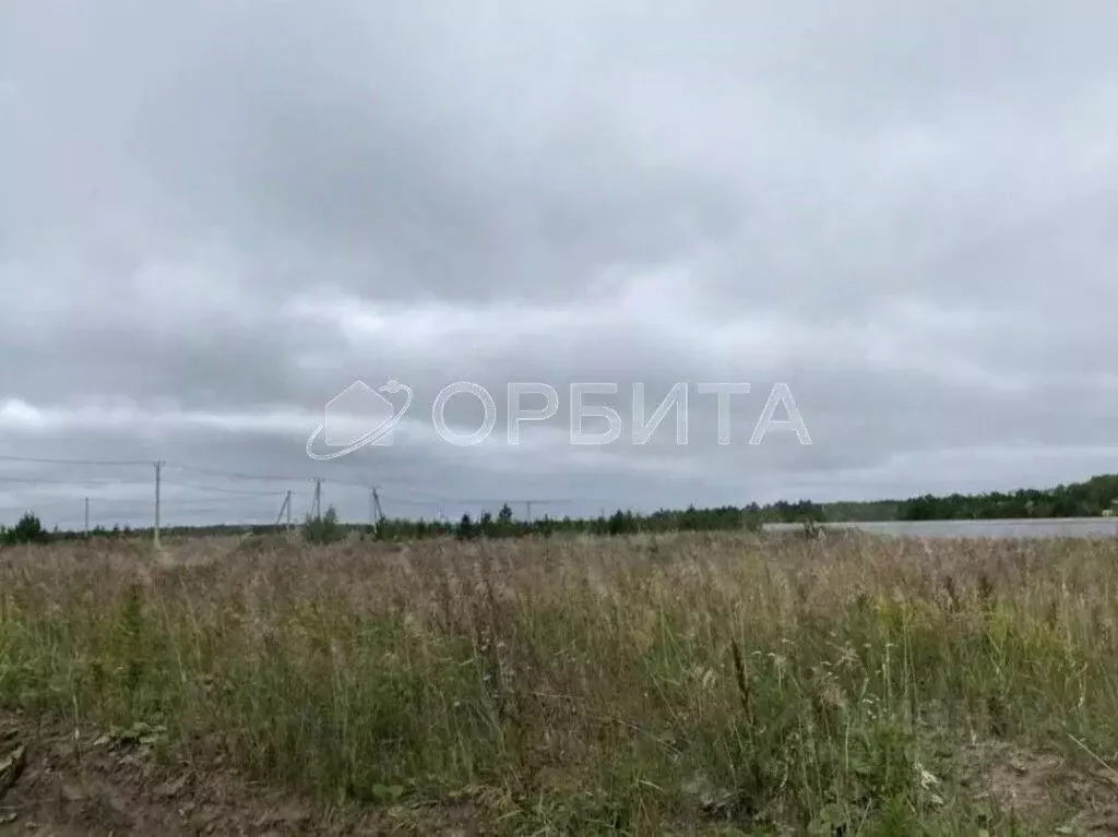 Участок в Тюменская область, Нижнетавдинский район, д. Московка  (10.0 ... - Фото 0
