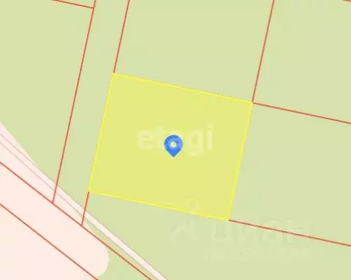 Участок в Тульская область, Ясногорский район, Иваньковское с/пос, д. ... - Фото 2