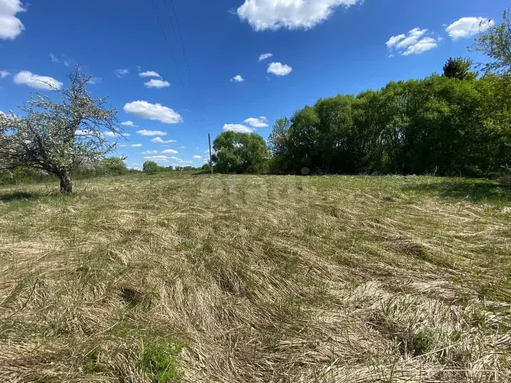 Участок в Брянская область, Почепский район, Витовское с/пос, с. ... - Фото 1