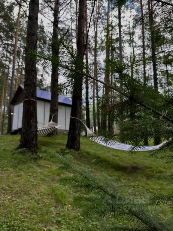 Дом в Красноярский край, Дивногорск городской округ, пос. Усть-Мана ... - Фото 0