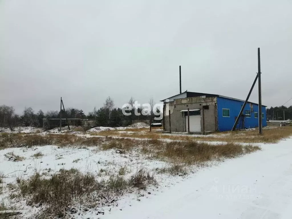 Помещение свободного назначения в Владимирская область, Петушинский ... - Фото 1