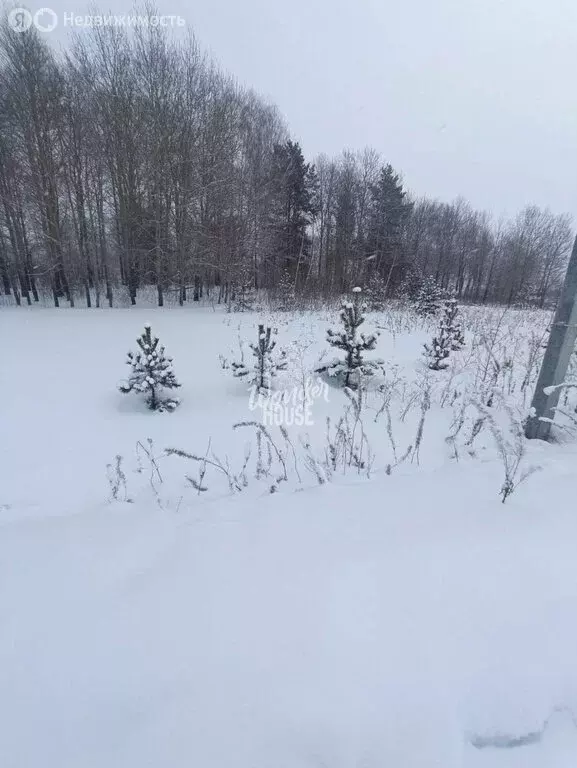 Участок в Тюменский муниципальный округ, СНТ Архитектор (27 м) - Фото 1