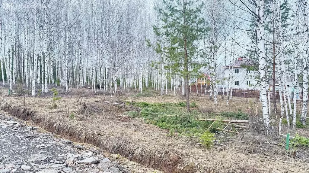 Участок в Пермский край, Краснокамский муниципальный округ, село Мысы ... - Фото 2