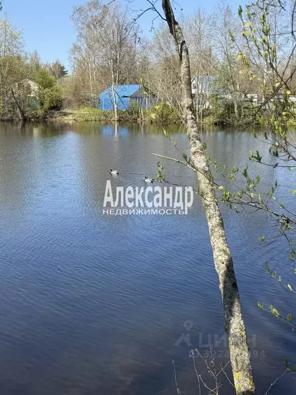 Дом в Ленинградская область, Тосненский район, Никольское городское ... - Фото 1