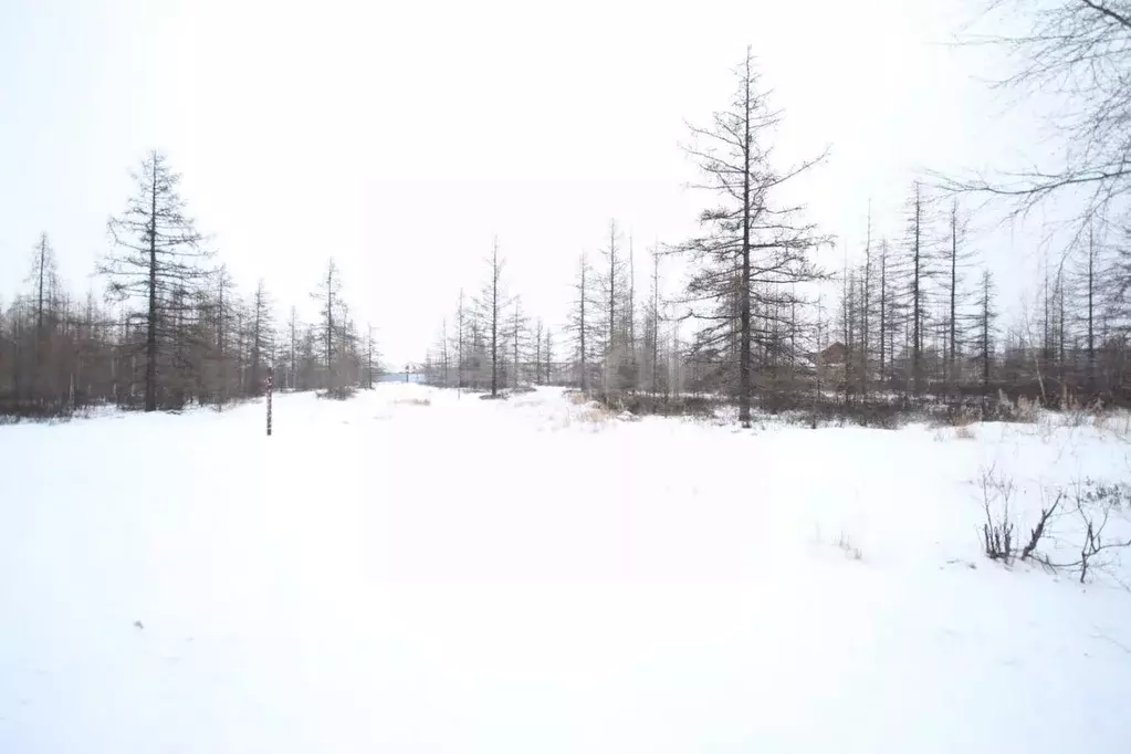 Участок в Ямало-Ненецкий АО, Новый Уренгой Титан ДНТ, ул. Теневая (6.0 ... - Фото 0