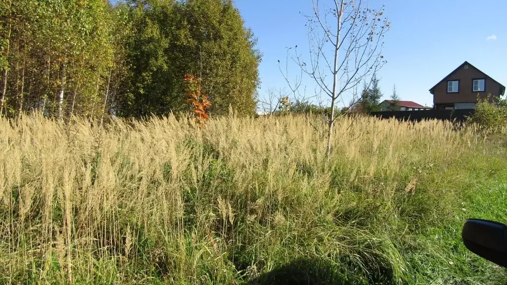 Участок в Московская область, Рузский муниципальный округ, д. Неверово ... - Фото 2