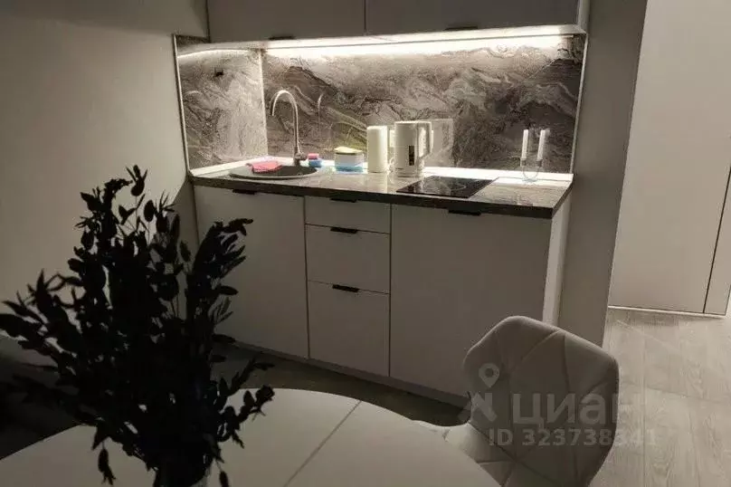 1-к кв. Воронежская область, Воронеж ул. Летчика Колесниченко, 67 ... - Фото 2