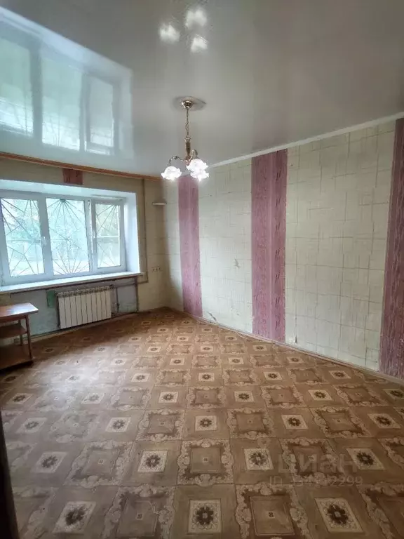 1-к кв. Нижегородская область, Дзержинск Прибрежная тер., ул. Попова, ... - Фото 2