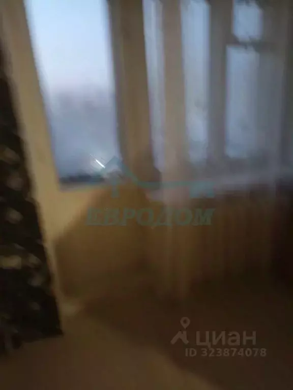 1-к кв. Новосибирская область, Новосибирск Народная ул., 81 (21.0 м) - Фото 2