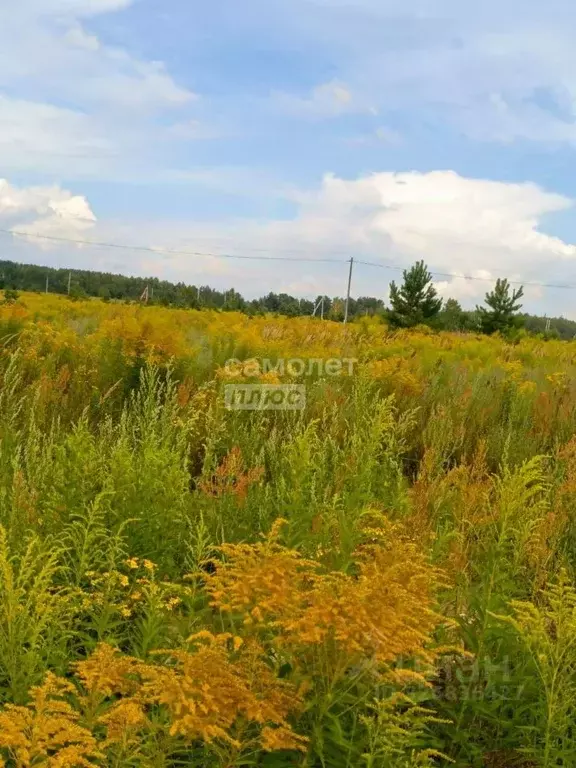Участок в Рязанская область, Рязанский муниципальный округ, с. ... - Фото 1