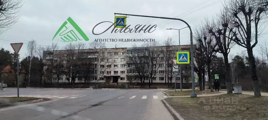 1-к кв. Ленинградская область, Сосновый Бор Сибирская ул., 2 (17.0 м) - Фото 1