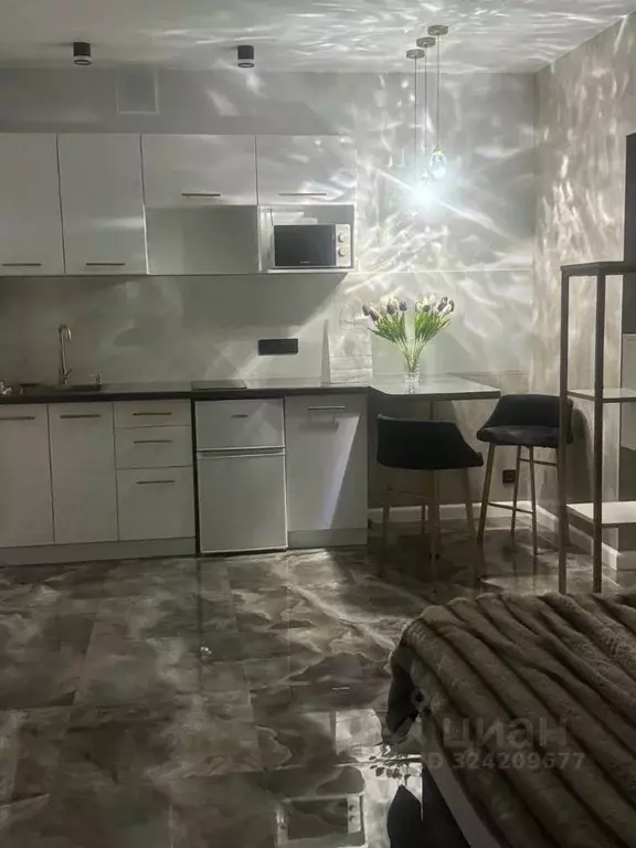 Студия Алтайский край, Барнаул ул. Кутузова, 14А (30.0 м) - Фото 2