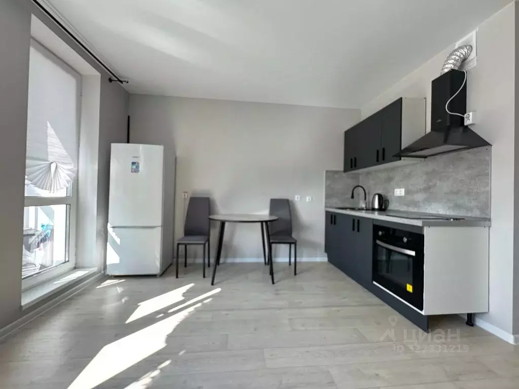 Студия Башкортостан, Уфа ул. Воинов-Интернационалистов, 1 (24.0 м) - Фото 2