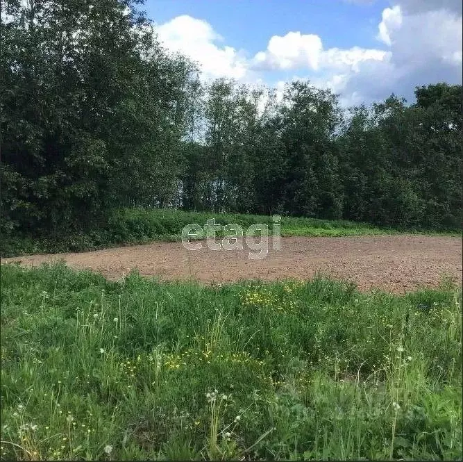 Участок в Вологодская область, д. Руново 15 (6.0 сот.) - Фото 1