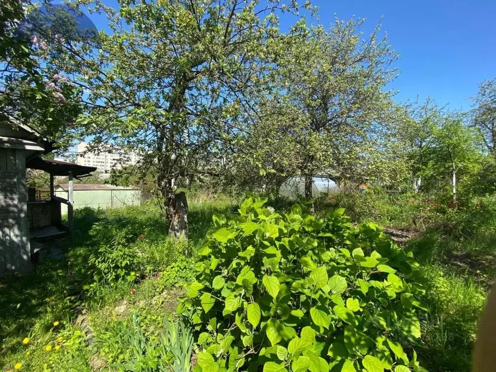 Участок в Татарстан, Казань Труд завода Радиоприбор СНТ, 24 (7.06 ... - Фото 1