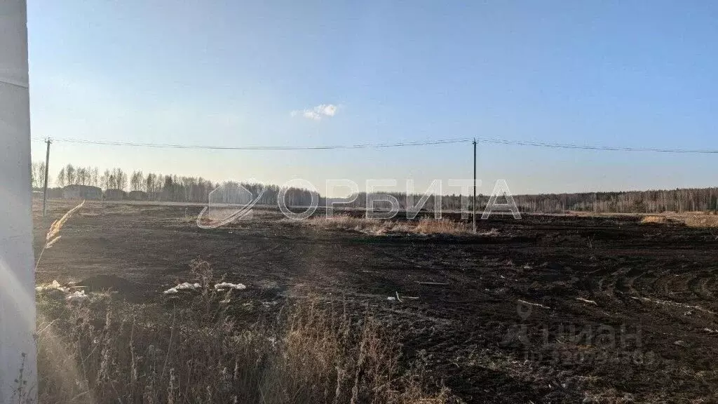 Участок в Тюменская область, Нижнетавдинский район, Царицыно СНТ  (9.5 ... - Фото 1