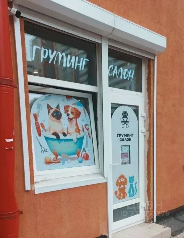 Офис в Санкт-Петербург пос. Парголово, ул. Тихоокеанская, 1к1 (24 м) - Фото 1