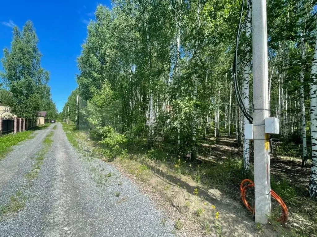 Участок в Тюменская область, Нижнетавдинский район, Царицыно СНТ  ... - Фото 1