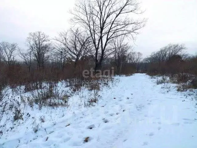 Участок в Свердловская область, Горноуральский городской округ, с. ... - Фото 0