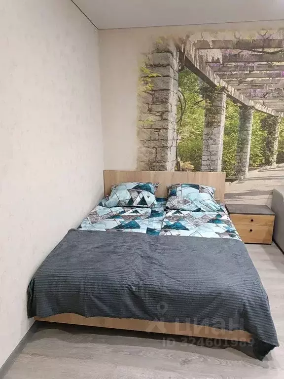 1-к кв. Ярославская область, Ярославский муниципальный округ, д. ... - Фото 2