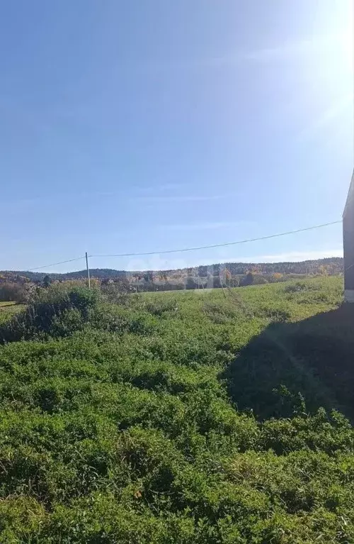 Участок в Пермский край, Пермский муниципальный округ, Полюдовский ... - Фото 0