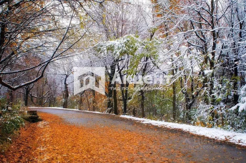 3-к кв. Ивановская область, Ивановский район, с. Ново-Талицы ул. ... - Фото 1