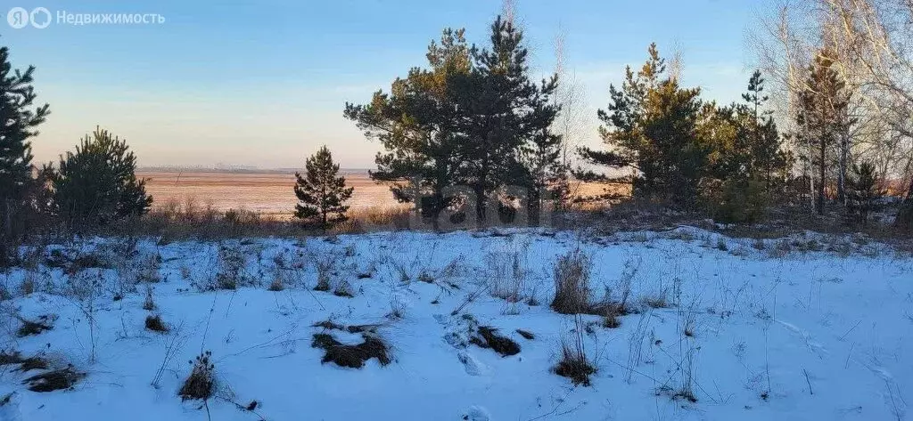 Участок в Тюменский район, деревня Паренкина (6 м) - Фото 1