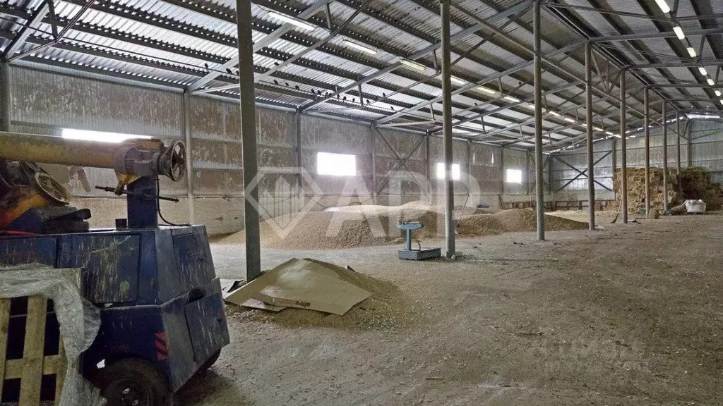 Производственное помещение в Татарстан, Рыбно-Слободский район, ... - Фото 2