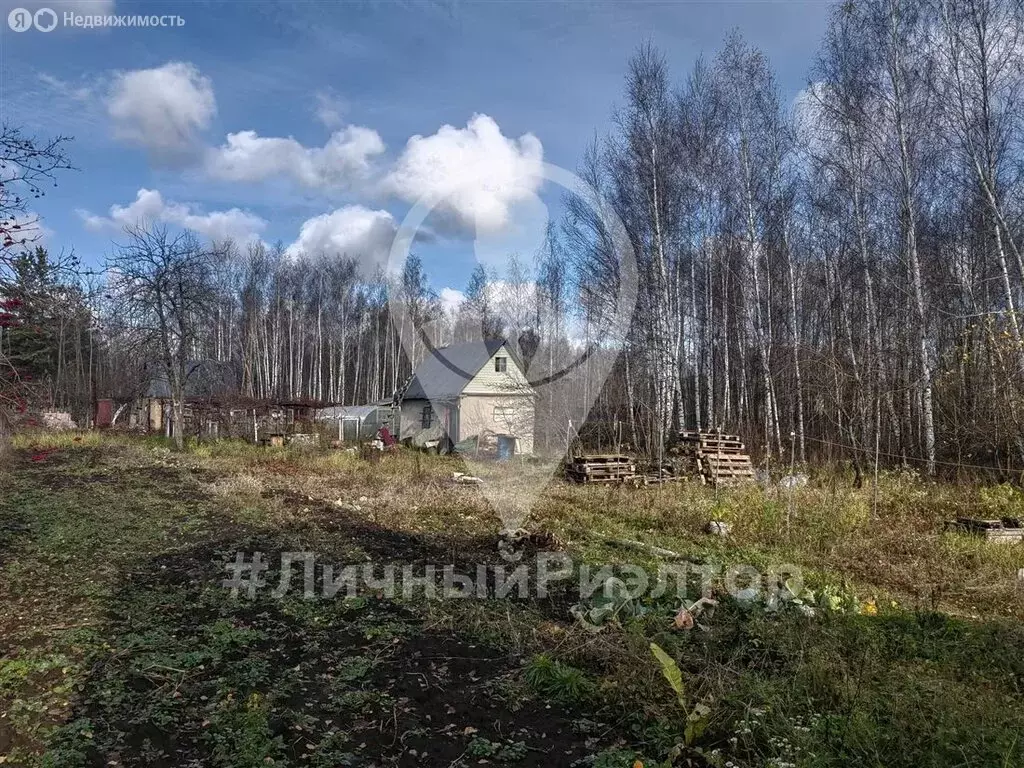 Участок в Рязанский муниципальный округ, садоводческое товарищество ... - Фото 1