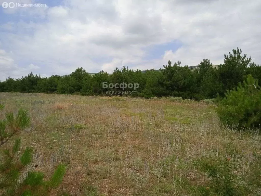 Участок в Старый Крым, улица 12 Апреля, 112 (6 м) - Фото 2