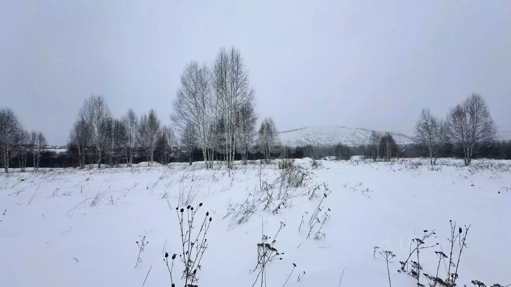 Участок в Кемеровская область, Новокузнецкий муниципальный округ, с. ... - Фото 0