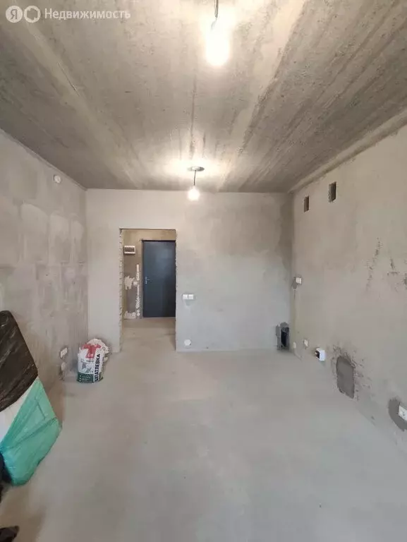 Квартира-студия: деревня Конёвка, 2 (26.7 м) - Фото 2