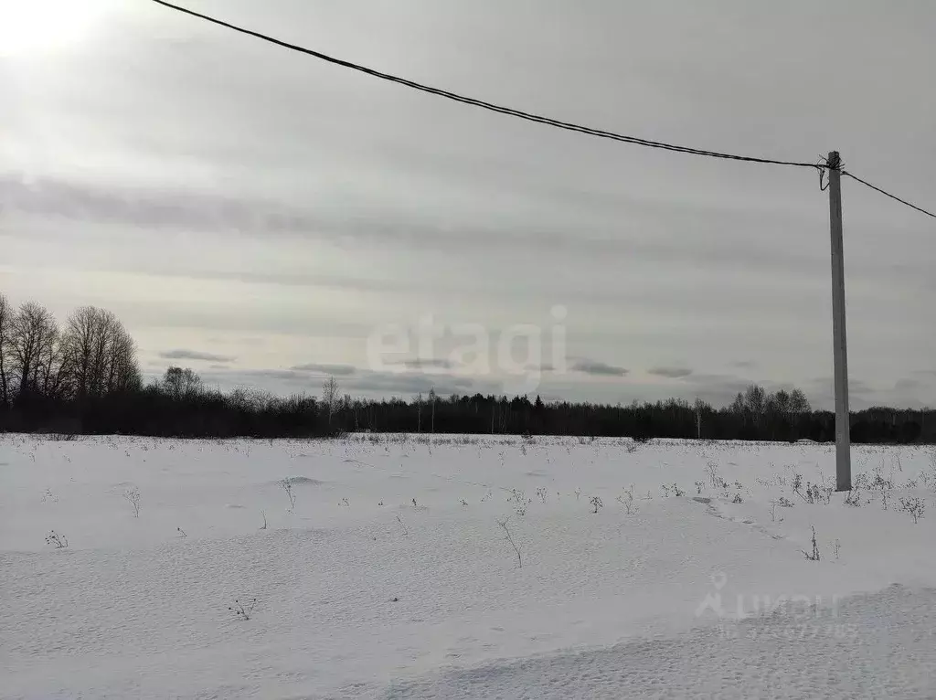 Участок в Свердловская область, Слободо-Туринский район, ... - Фото 1