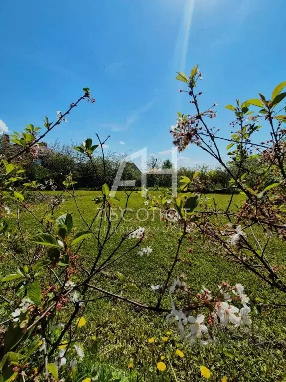 Участок в Московская область, Сергиев Посад Гражданская ул., 33 (8.0 ... - Фото 1