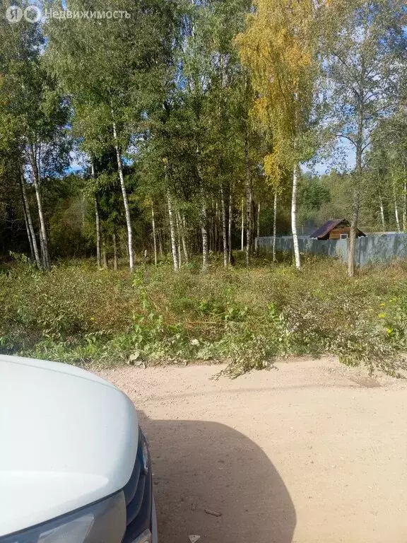 Участок в муниципальное образование Киров, деревня Бони, Андреевская ... - Фото 0