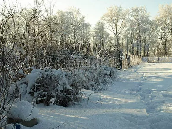 Участок в село Иковка, Пионерская улица (12 м) - Фото 2