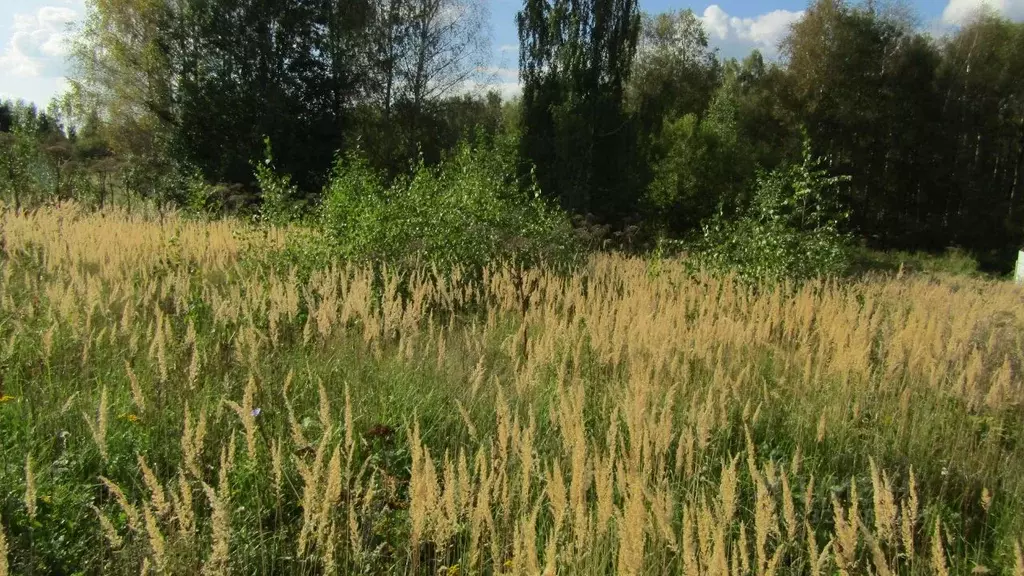 Участок в Московская область, Рузский муниципальный округ, д. ... - Фото 1