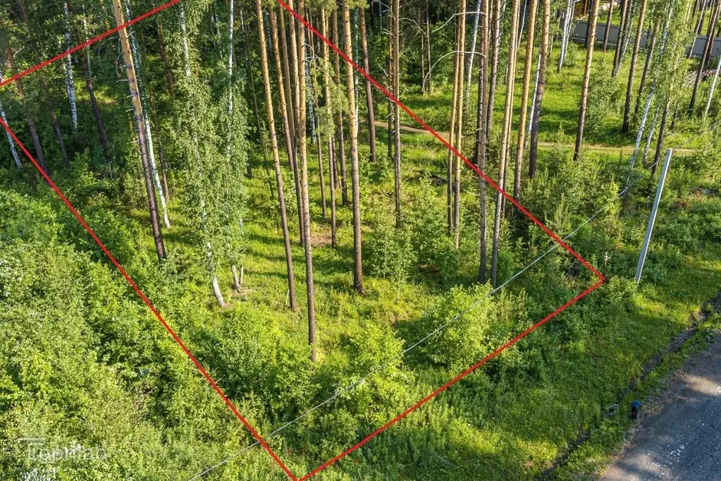 Участок в Свердловская область, Сысертский муниципальный округ, Клевер ... - Фото 2