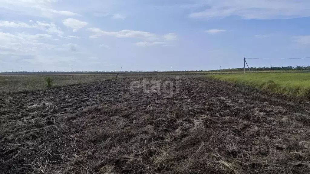 участок в краснодарский край, анапа муниципальный округ, розы . - Фото 1