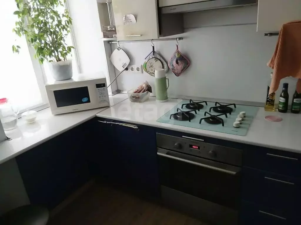 1-комнатная квартира: Челябинск, улица Сони Кривой, 47 (25.8 м) - Фото 1