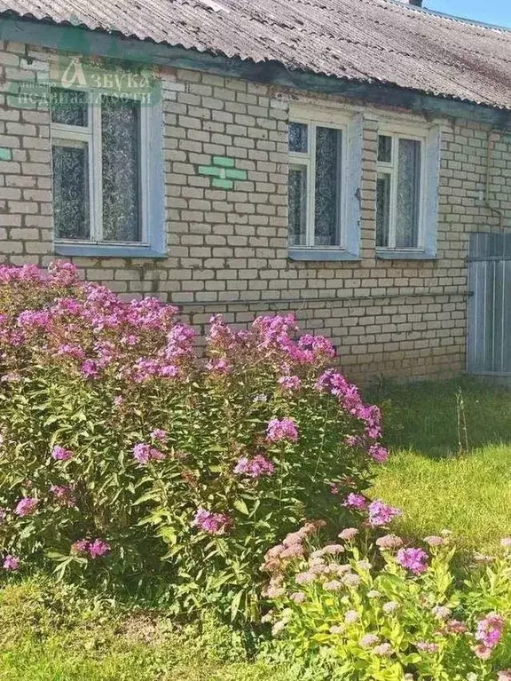 Дом в Смоленская область, Краснинский муниципальный округ, д. Белеи ... - Фото 2
